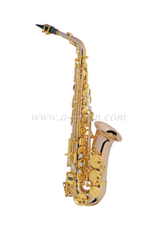 Альт-саксофон (продвинутая модель студента) - стиль YNG (SP1013NS-G)