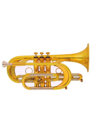 Модель bB Key High Grade Cornet Heavy (CN-H400P-SYY)